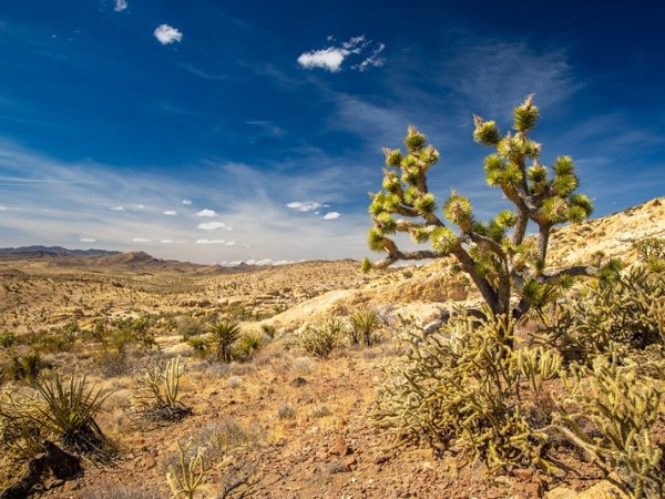 Mining and Monuments: A Conversation about Tribal&nbsp;Lands
