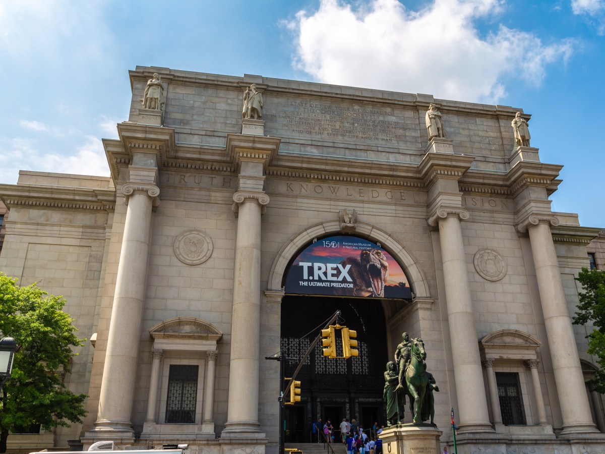 Healing Through Restoration: The Native American Graves Repatriation&nbsp;Act