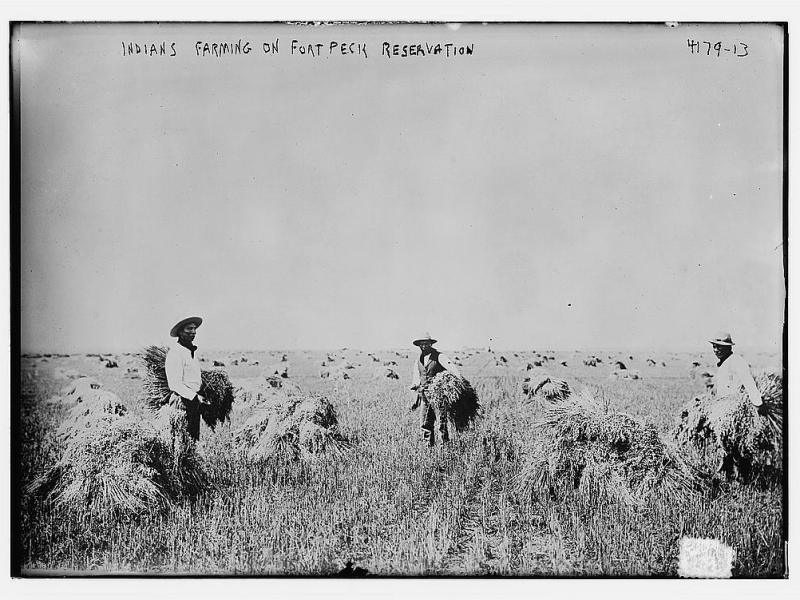 A Seat at the Table: Tribal Nations and the 2024 Farm&nbsp;Bill